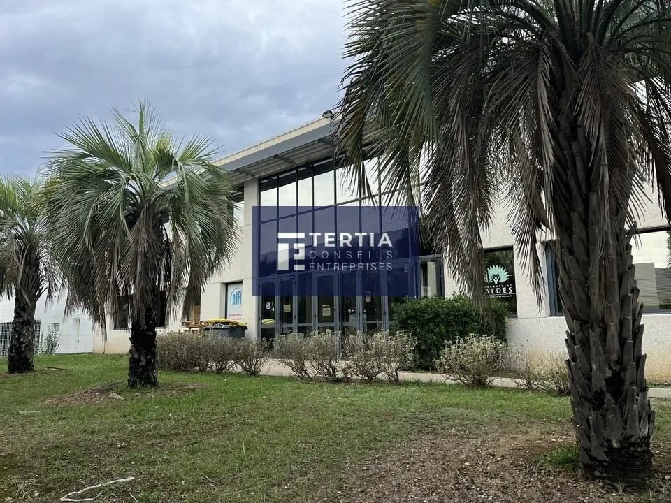 Office in Montpellier for lease Building Photo- Image 1 of 11