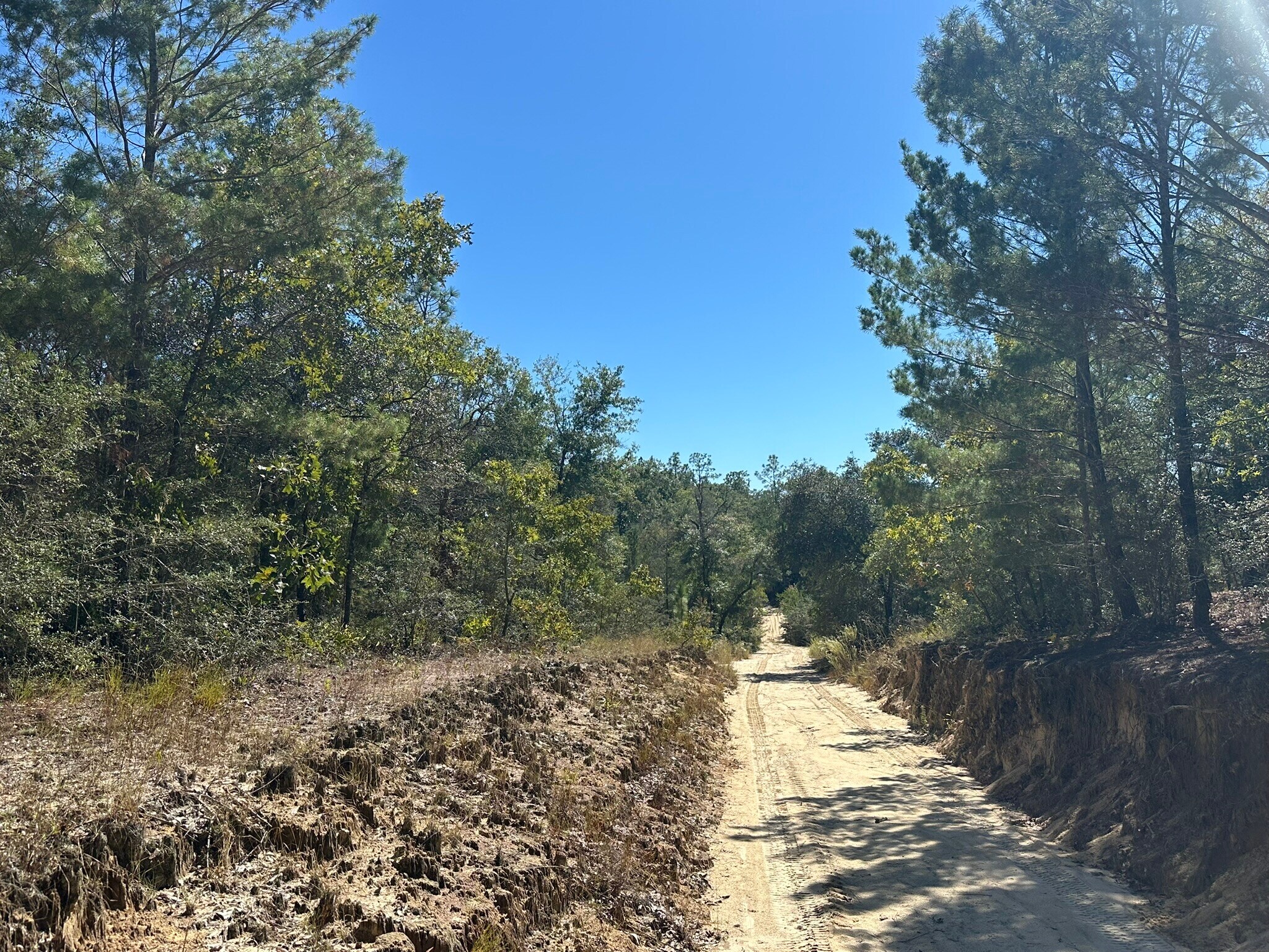 TBD 191.95 AC US 90 hwy, Crestview, FL à vendre Photo principale- Image 1 de 72