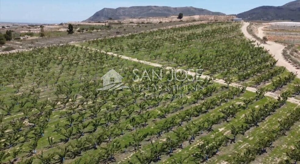 Terrain dans Monforte del Cid, Alicante à vendre - Aérien - Image 3 de 10