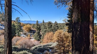 More details for 0 San Antonio, Green Valley Lake, CA - Land for Sale