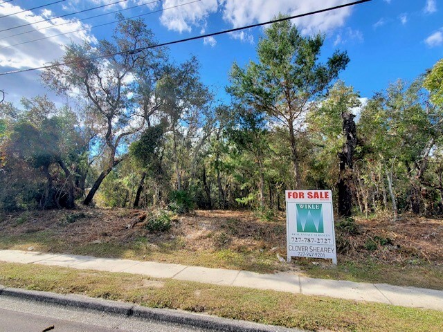 000 Little Rd. South of Jasmine Blvd., New Port Richey, FL à vendre - Autre - Image 2 de 10