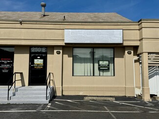 More details for 234 Jericho Tpke, Mineola, NY - Office/Retail for Lease