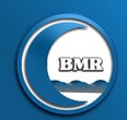 Blue Moon Realty