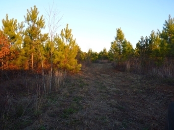 Pearidge Rd, Bostic, NC à vendre - Photo principale - Image 1 de 1