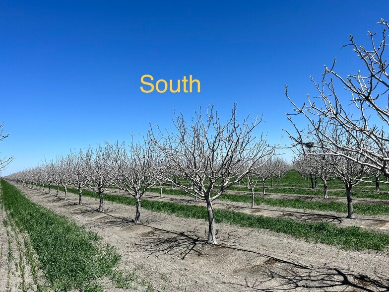 W South Ave, Tranquillity, CA à vendre - Photo du bâtiment - Image 2 de 3