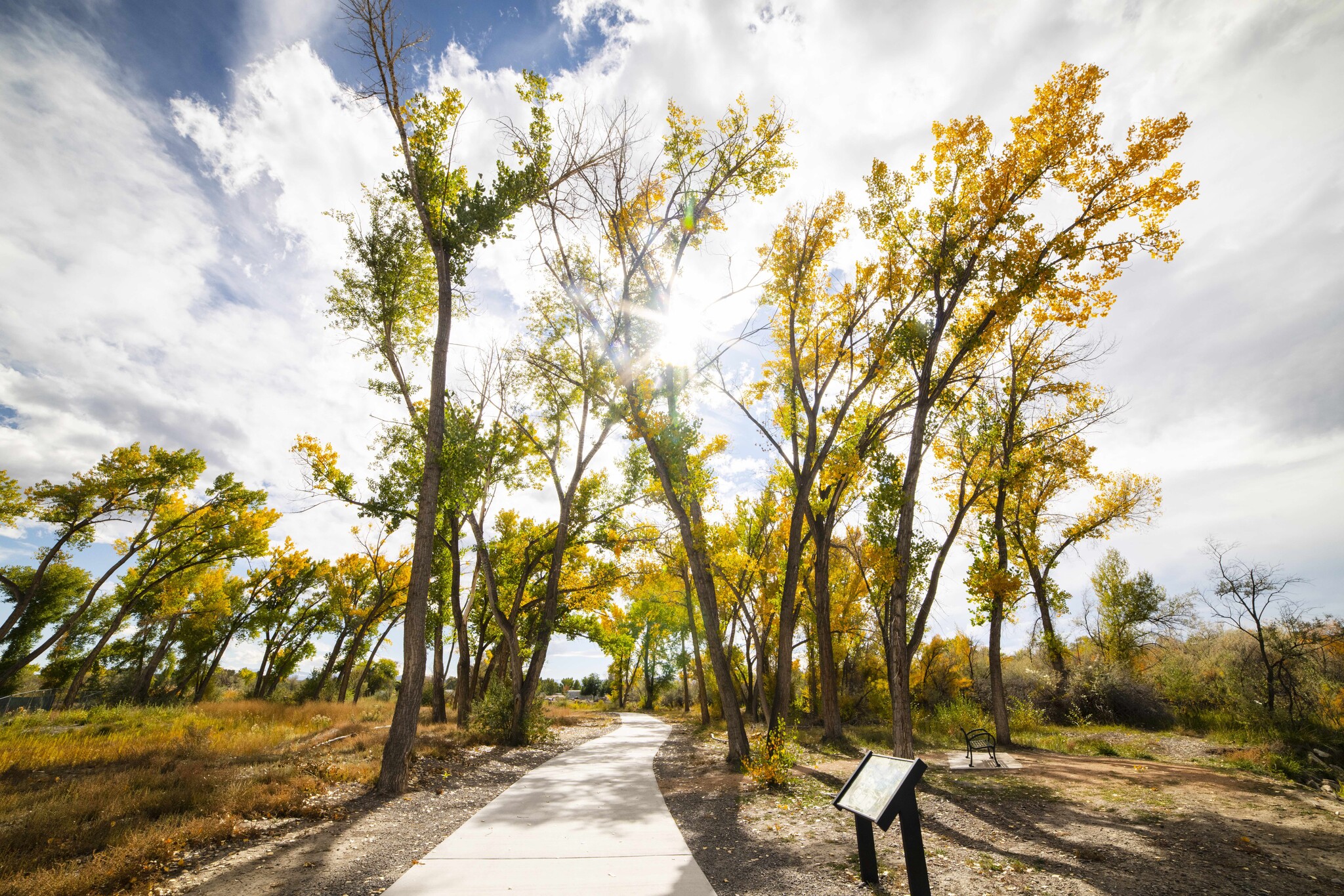 TBD Lot 22 Mayfly, Montrose, CO for sale Other- Image 1 of 1