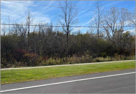 John Walsh Boulevard & McIntosh Drive, Auburn, NY à vendre - Photo principale - Image 1 de 3