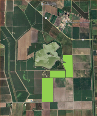Plus de détails pour Mile 12 N, Heidelberg, TX - Terrain à louer
