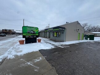 Plus de détails pour 19162 Huron River Dr, New Boston, MI - Spécialité à vendre