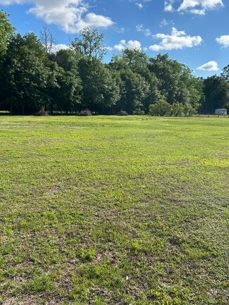 More details for NW 250th St, Lawtey, FL - Land for Sale