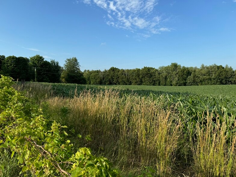 0 V/L Green St., Springport, MI for sale - Building Photo - Image 2 of 19