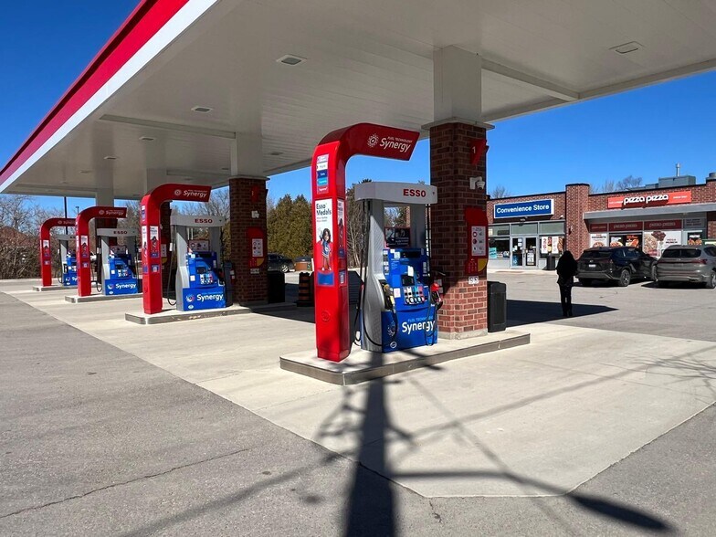 40 Arthur St W, Thornbury, ON à vendre - Photo du bâtiment - Image 3 de 10