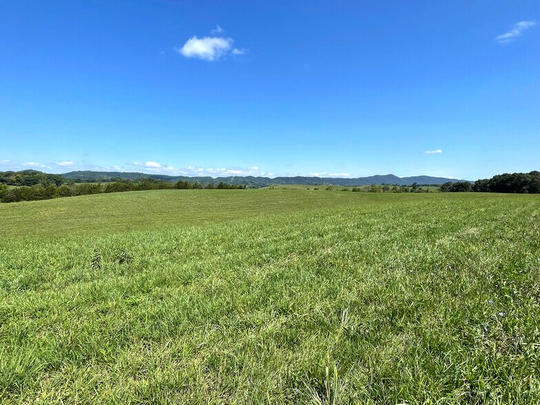 Flatwoods Road, Mosheim, TN à vendre - Photo du bâtiment - Image 2 de 15