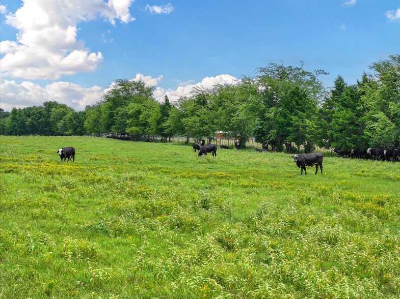 Tract 10 County Road 3415, Jacksonville, TX à vendre - Photo du bâtiment - Image 3 de 14