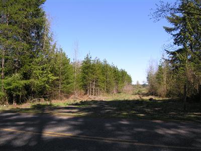8838 Blomberg St, Tumwater, WA for sale - Building Photo - Image 2 of 7