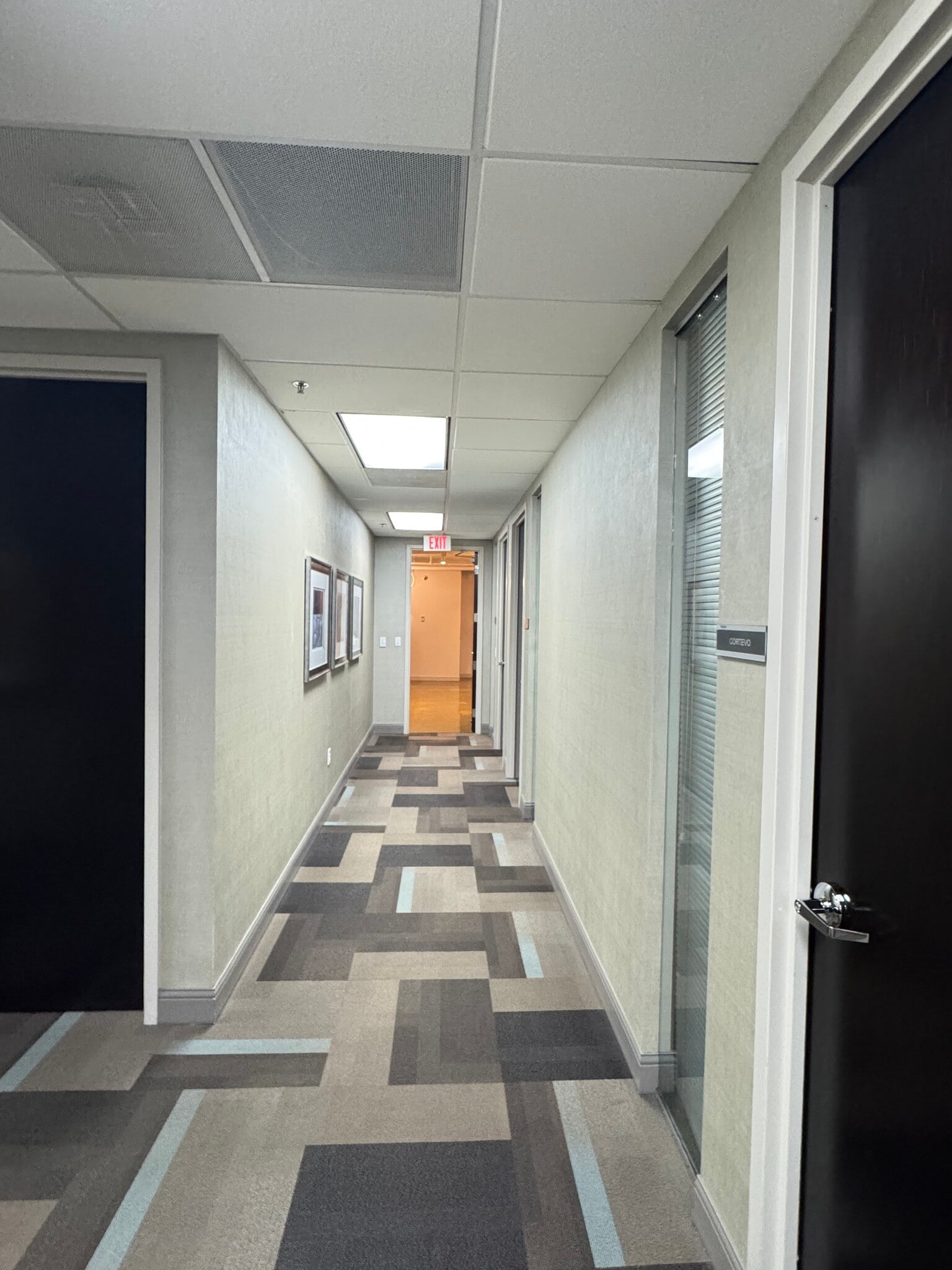 3903 Northdale Blvd, Tampa, FL for lease Interior Photo- Image 1 of 3