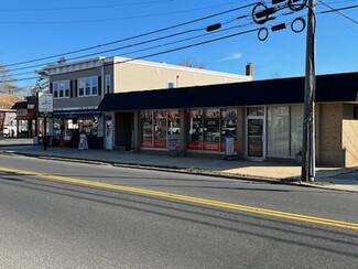 Plus de détails pour 56 Union Ave, Manasquan, NJ - Flex à louer