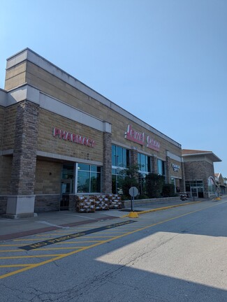 More details for 800 N Main St Outlot, Elburn, IL - Retail for Lease