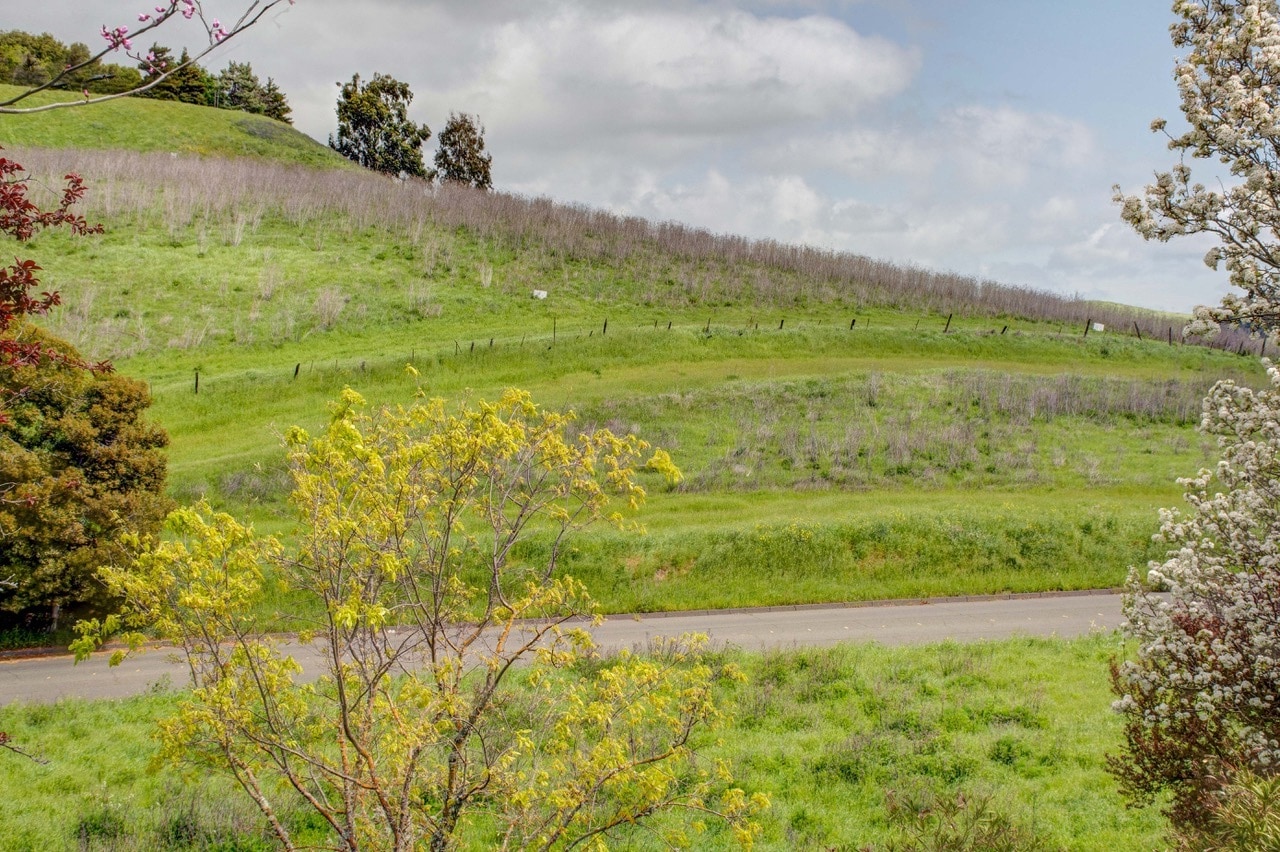 Eucalypus Dr X Teresa St., American Canyon, CA for sale Primary Photo- Image 1 of 9