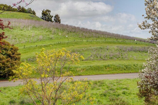 More details for Eucalypus Dr X Teresa St., American Canyon, CA - Land for Sale