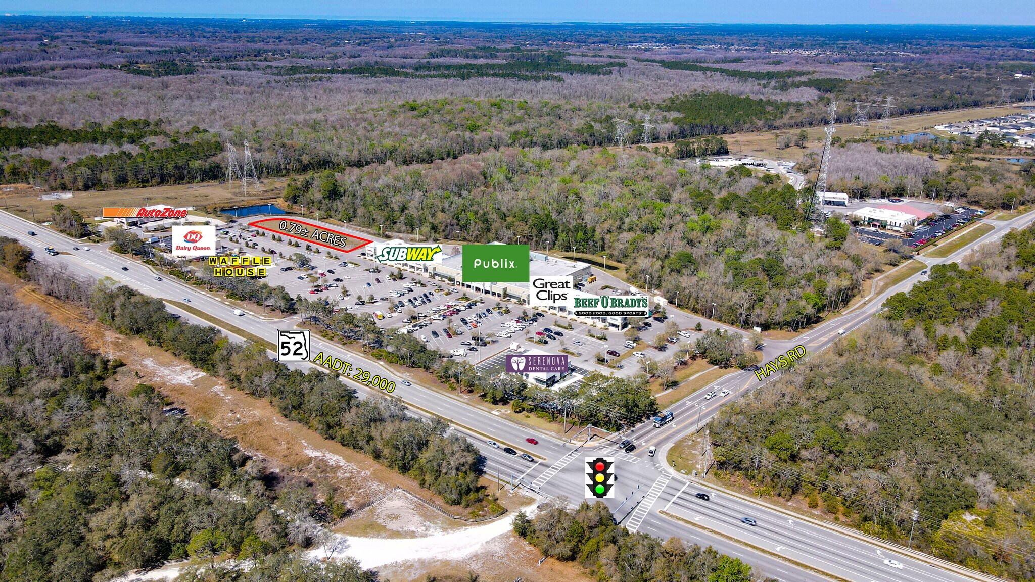 SR 52 & Hays Rd, Hudson, FL à vendre Photo du bâtiment- Image 1 de 3