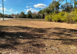 More details for 476 N. Highway 17, Palatka, FL - Land for Sale