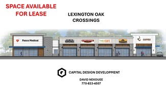 Plus de détails pour 26871 Wesley Chapel Blvd, Wesley Chapel, FL - Vente au détail à louer