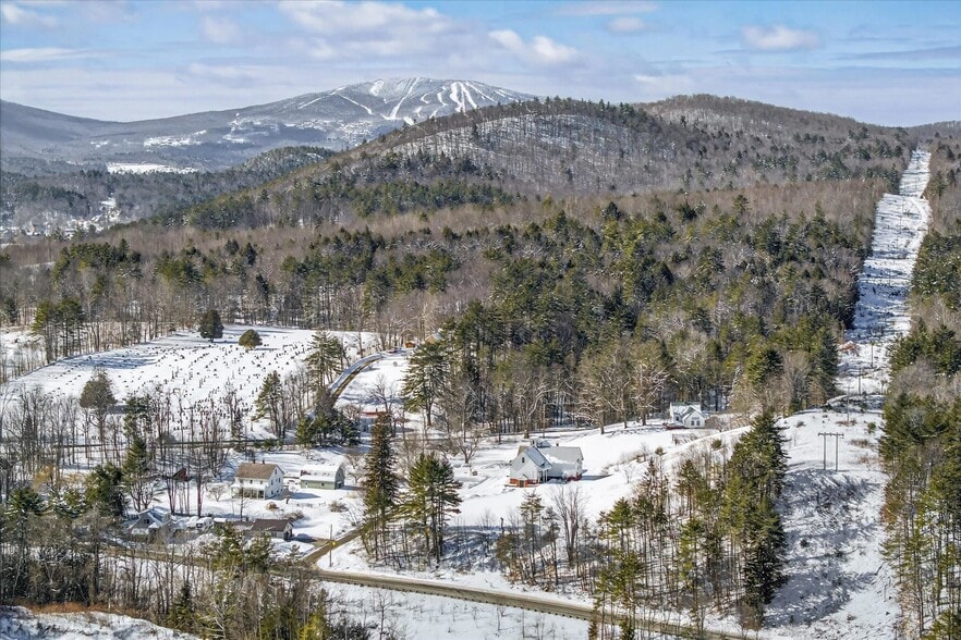 66 Duttonsville School dr, Cavendish, VT for sale - Aerial - Image 2 of 37