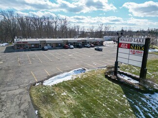 More details for 1110-1126 N Pontiac Trl, Walled Lake, MI - Retail for Lease