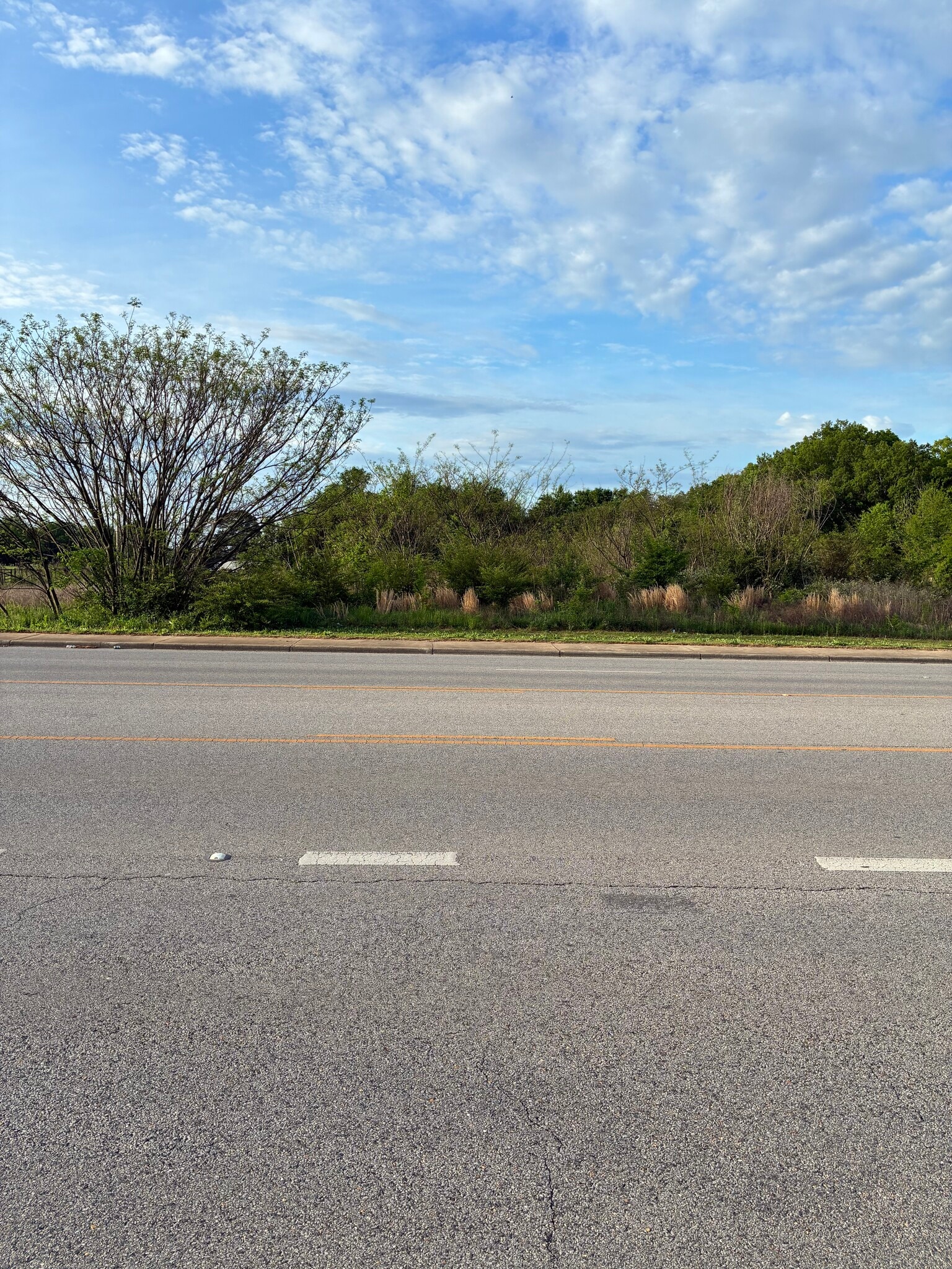 2626 Avalon ave, Muscle Shoals, AL for sale Primary Photo- Image 1 of 4