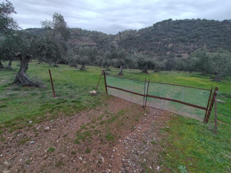 Terrain dans Villanueva del Rey, Córdoba à vendre - Photo du bâtiment - Image 2 de 8