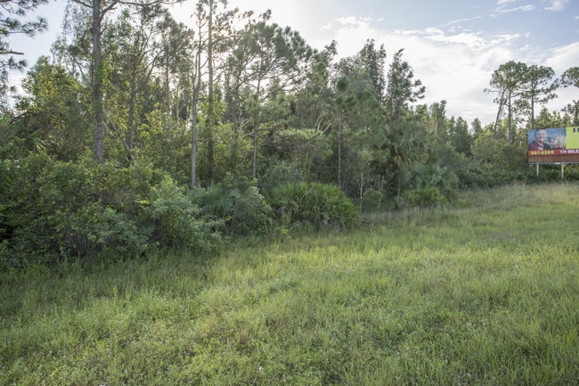 Plus de détails pour 16380 N Cleveland Ave, North Fort Myers, FL - Terrain à vendre