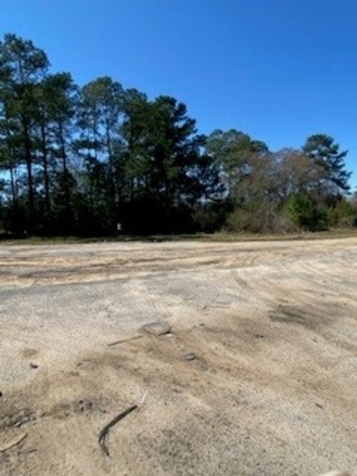 More details for 0 US HWY 19 N, Meigs, GA - Land for Lease