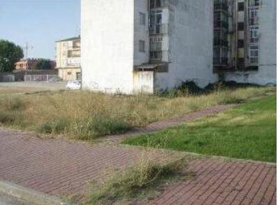 Calle de Calderón, 3, Arévalo, Ávila à vendre - Photo du bâtiment - Image 2 de 5