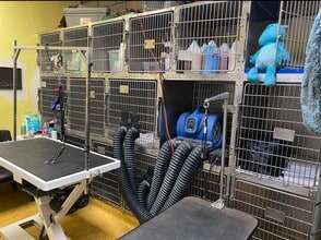 1305 Vegas Valley Dr, Las Vegas, NV for lease Building Photo- Image 2 of 9