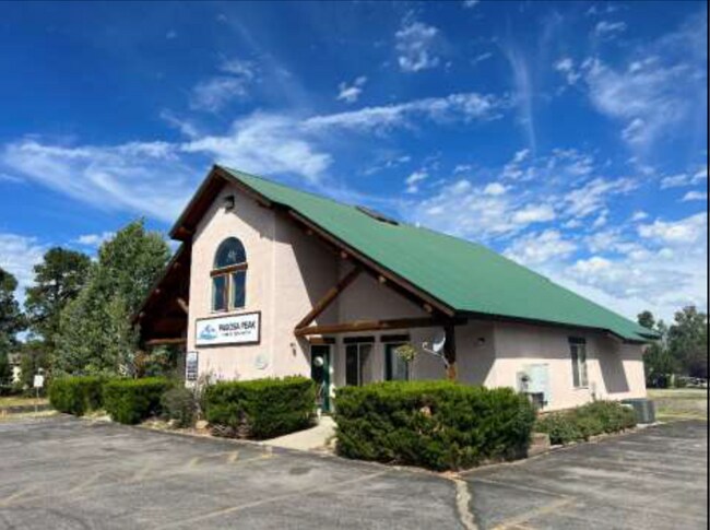 More details for 228 Village Dr, Pagosa Springs, CO - Health Care for Sale