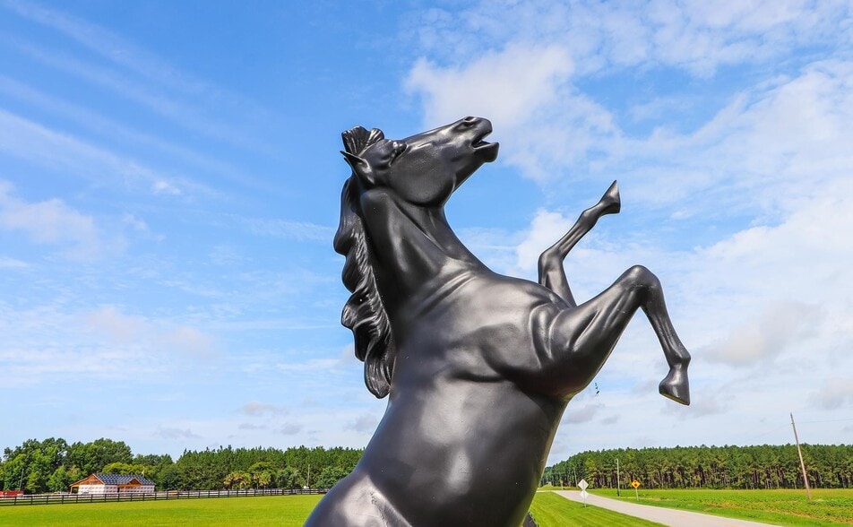 1603 Boutwell Rd, Perry, GA à vendre - Photo du bâtiment - Image 3 de 5