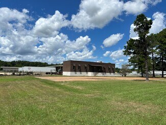 Plus de détails pour 400 Childre Rd, Pearl, MS - Industriel à louer