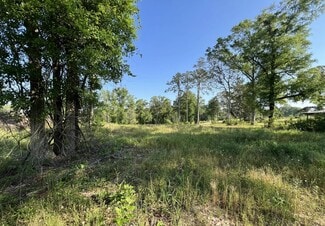 More details for 0 Highway 198, Lucedale, MS - Land for Sale