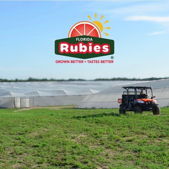 2050 80 Foot Rd, Bartow, FL à vendre - Autre - Image 3 de 11