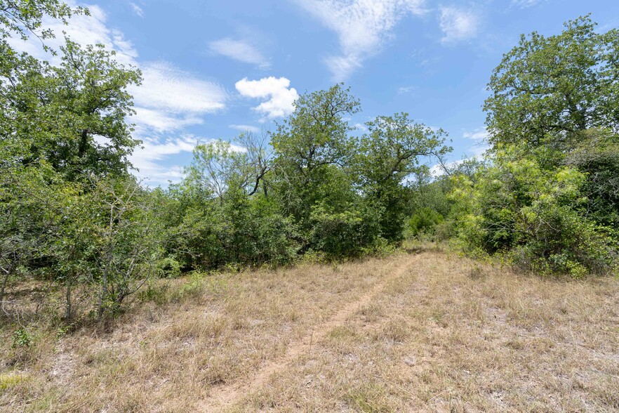 0 FM 671, Lockhart, TX for sale - Other - Image 3 of 32