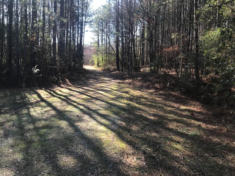 0 Donahoo Rd, Silver Creek, GA for sale - Other - Image 3 of 9