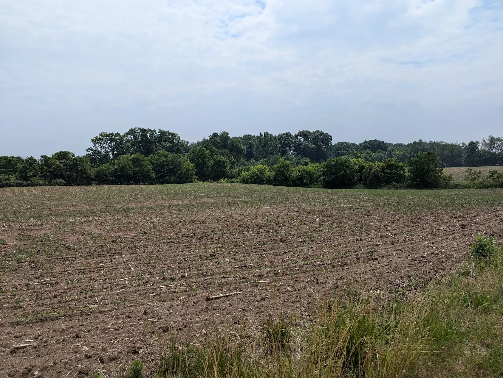 7998 E Grand River Ave, Portland, MI à vendre Photo principale- Image 1 de 16