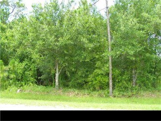 Plus de détails pour 6 Cypress St, Fellsmere, FL - Terrain à vendre