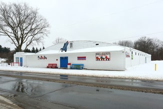 Plus de détails pour 19750 Sumpter Rd, Belleville, MI - Commerce de détail à vendre
