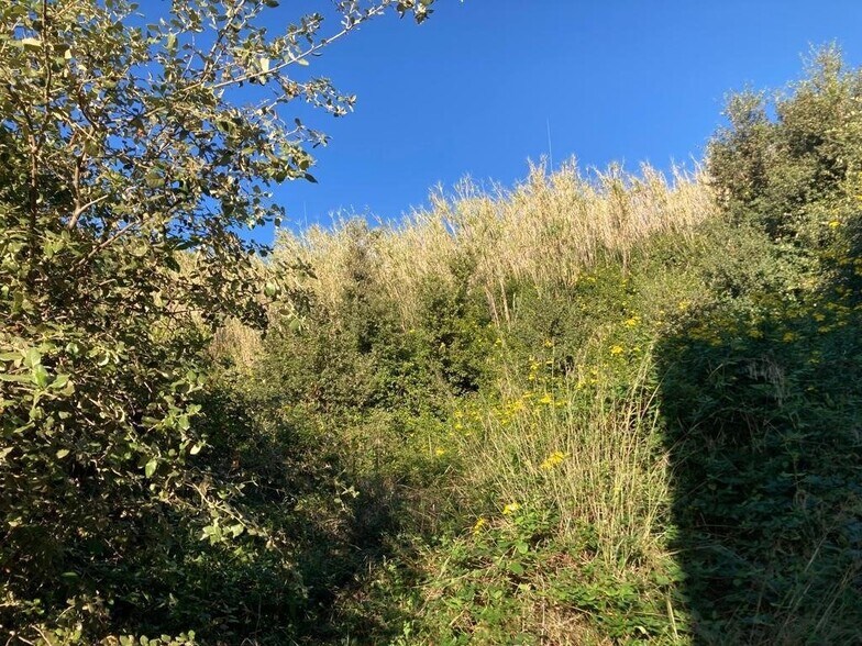 Carrer Romero de Torres, 32B, Pineda de Mar, Barcelona à vendre - Photo du bâtiment - Image 2 de 3