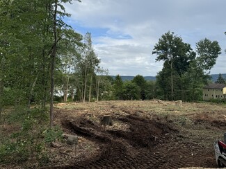 Plus de détails pour 0 Overlook Dr, Plainville, CT - Terrain à vendre