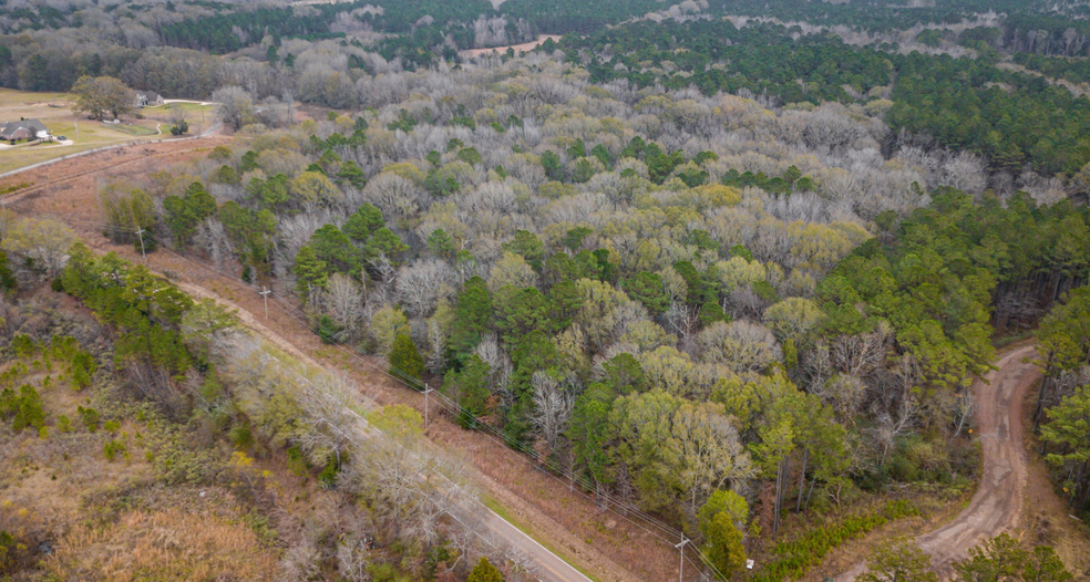 0 N Livingston Rd, Ridgeland, MS à vendre - Photo principale - Image 1 de 1