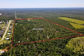 Plus de détails pour 17050 Burnt Store Rd, Punta Gorda, FL - Terrain à vendre