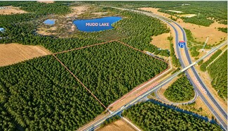 Plus de détails pour 31529 Blanton Rd, Dade City, FL - Terrain à vendre